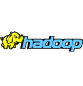 Hadoop data analytics